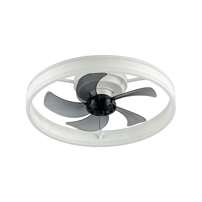 Downrod mennyezeti ventilátor fénnyel Downrod mennyezeti ventilátor fénnyel