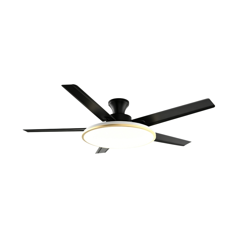 Hagyományos ventilátor lámpa Hagyományos ventilátor lámpa